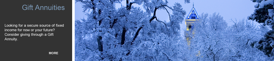 Banner 3